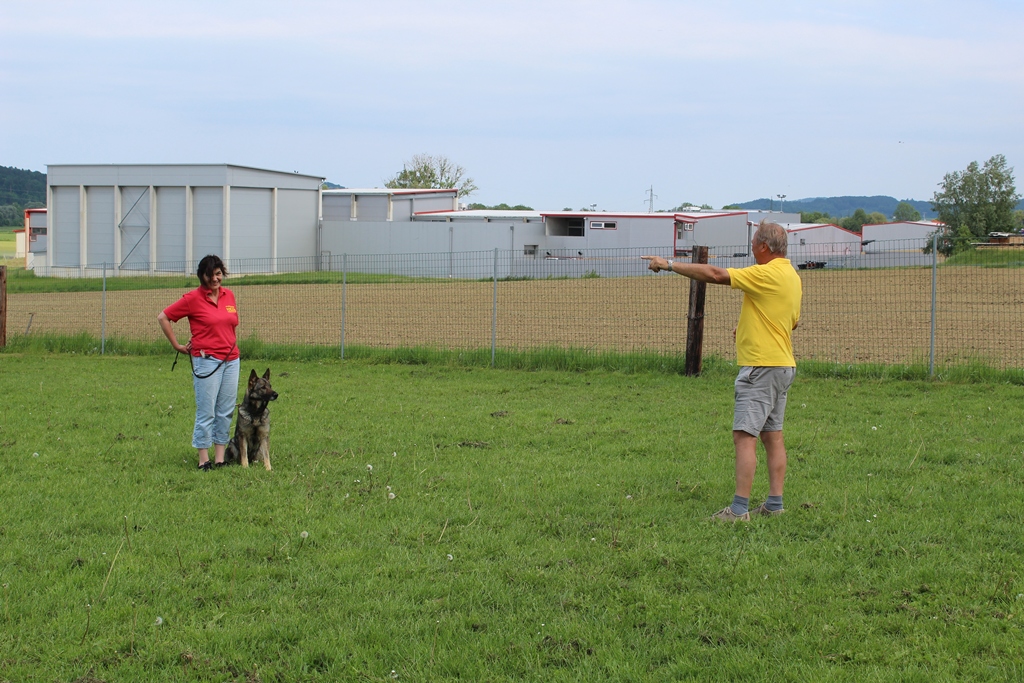 Einzeltraining – ruhiges Arbeiten am Platz