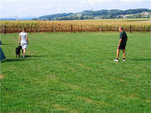 Übungseinheit im Freien – Hundeschule Scheer