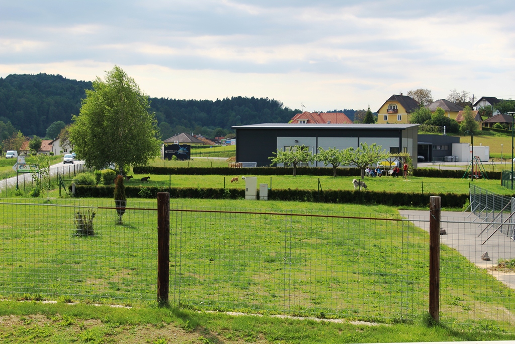 Hundespielwiese – Bereich 1