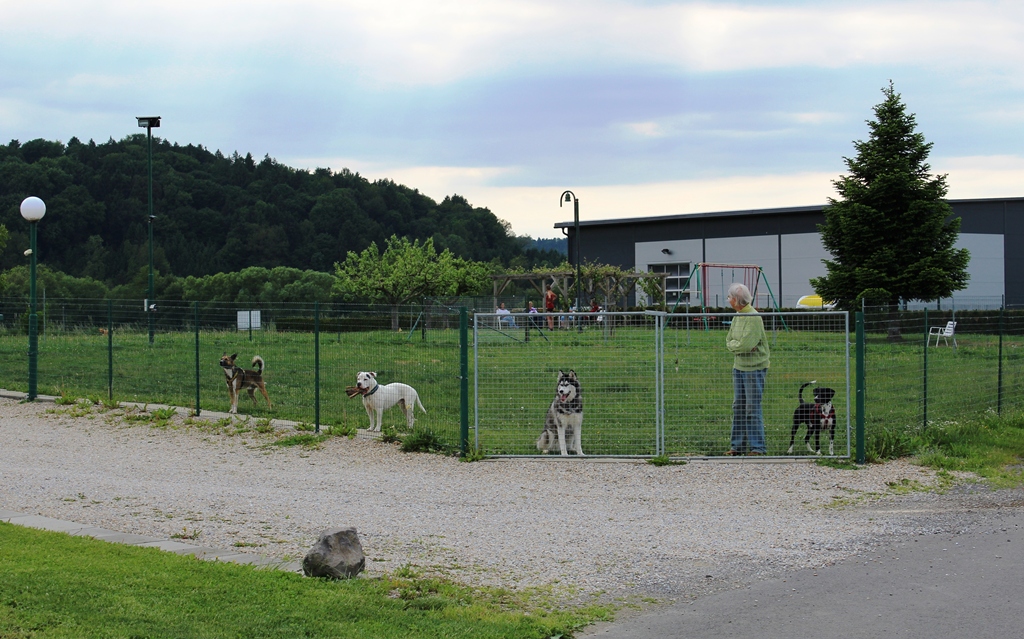 Hundespielwiese – Bereich 2